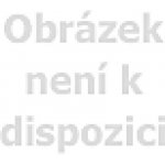 Osram zářivka L36W 840 120cm studená bílá – Zbozi.Blesk.cz