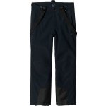 4F SKI pants TECHNICAL černá – Zbozi.Blesk.cz