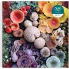Puzzle GALISON Čtvercové Rozkvetlé houby 500 dílků