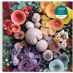 GALISON Čtvercové Rozkvetlé houby 500 dílků