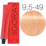 Schwarzkopf Igora Royal barva na vlasy 9,5-49 Pastel Nude 60 ml – Zboží Dáma