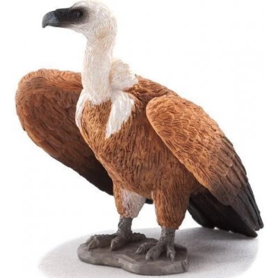 Mojo Sup bělohlavý – Zboží Dáma