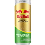 Red Bull Apple & Muscat Grape 250 ml – Zboží Dáma
