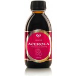 Zdravý Svet Liposomální Acerola 200 ml – Hledejceny.cz