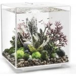 Biorb Cube akvárium MCR bílé 60 l – Zboží Dáma