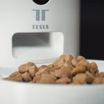 TESLA Smart Pet Feeder TSL-PC-BL4 4 l – Zboží Mobilmania