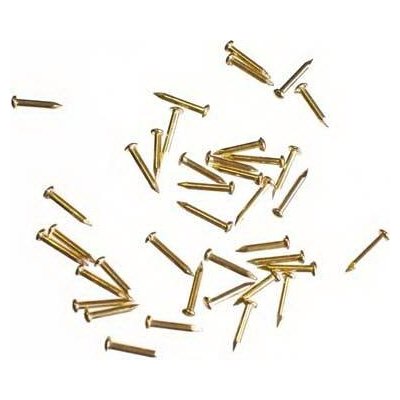 Hřebíčky zlaté 12 mm (1ks) – Zboží Živě