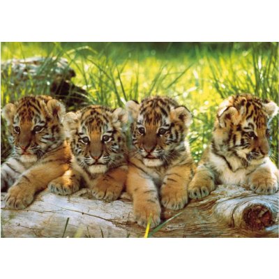 Ksgames Čtyři tygři 200 dílků