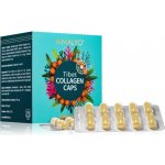 Himalyo Tibet Collagen 100 kapslí – Hledejceny.cz