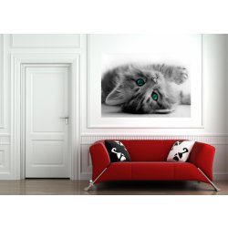 AG Design FTNM-2605 vliesová fototapeta Pussy rozměry 160 x 110 cm