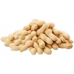 Avicentra Burské oříšky 10 kg – Zboží Dáma