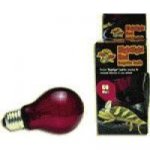 Zoo Med Nightlight Red Bulb 60 W – Sleviste.cz