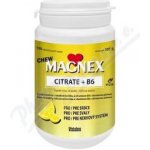 Magnex Citrate 375mg+B6 100 chew tablet – Hledejceny.cz