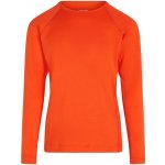 Icebreaker Kids 200 Oasis LS Crewe, Vibrant Earth vzorek – Zboží Dáma