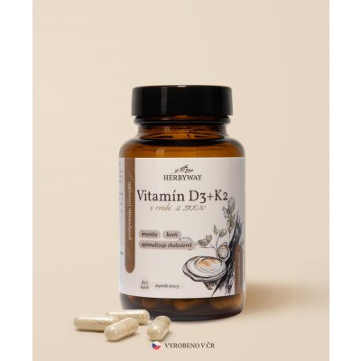 Herbs Energy Vitamín D3 + K2 2500 IU 60 dávek – Hledejceny.cz
