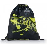 Karton P+P Jurassic World 763221 – Hledejceny.cz