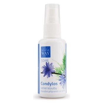 Divine Way Condylos Bylinný sprej 50 ml