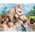 ZUTY Malování podle čísel PES KŮŇ A KOTĚ HOWARD ROBINSON 40 x 50 cm – Zboží Dáma