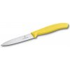 Kuchyňský nůž Victorinox 6.7706.L118 10 cm