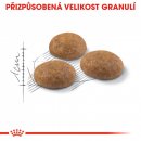 Krmivo pro kočky Royal Canin Outdoor 10 kg