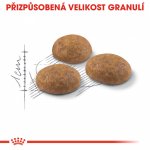 Royal Canin Outdoor 10 kg – Hledejceny.cz