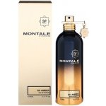 Montale So Amber parfémovaná voda unisex 100 ml – Hledejceny.cz