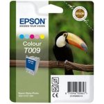 Epson C13T009 - originální – Hledejceny.cz