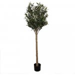 Dekorace umělý stromek olivovník s olivami Olea Tree 15*170 cm Chic Antique – Hledejceny.cz