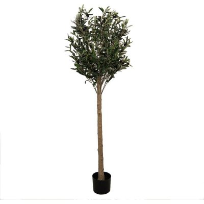 Dekorace umělý stromek olivovník s olivami Olea Tree 15*170 cm Chic Antique – Hledejceny.cz