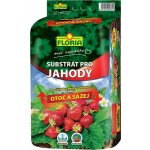 Agro CS Floria Substrát pro jahody 40 l – Hledejceny.cz