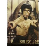 Nepřekonatelný Bruce Lee - typ 1 – Zboží Dáma