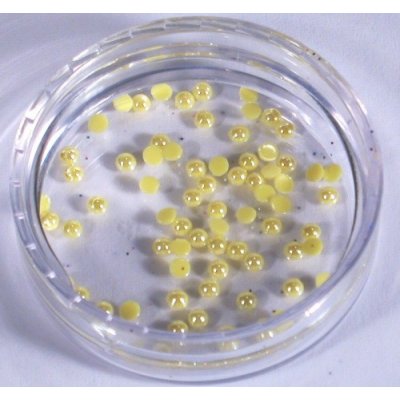 USA Kamínky perly na nehty citrón 100 ks – Zboží Mobilmania