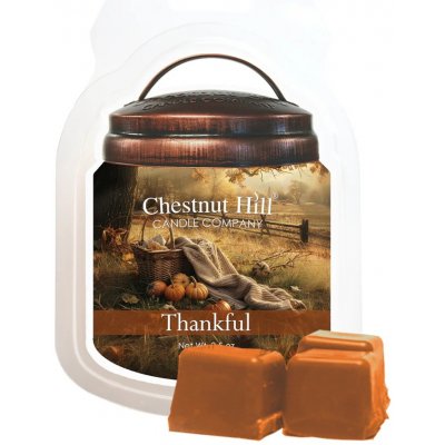 Chestnut Hill Candle Vonný Vosk Thankful 105 g – Hledejceny.cz