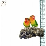 Back Zoo Nature Super bidlo S – Zboží Dáma Back Zoo Nature Super bidlo S – Zboží Dáma