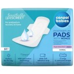 Canpol babies Poporodní vložky s křidélky denní 10 ks – Zboží Dáma