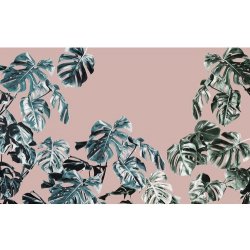 Komar Vliesová fototapeta Monstera Rosé rozměry 400 x 250 cm