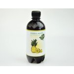 Stevikom Kombucha yerba maté ananas bio 400 ml – Zboží Dáma