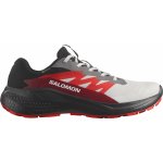 Salomon Alphaglide Gtx pánské L47802200 lunar rock black biking red – Zboží Dáma
