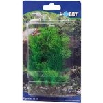 Hobby Egeria 13 cm – Sleviste.cz