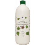 Emendo Saunová esence Eukalyptus 1000 ml – Hledejceny.cz
