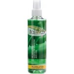 ItalWax preddepilačný sprej Aloe Vera 100 ml – Zboží Dáma