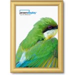 Jansen Display Klaprám A4 profil 25, zlatý elox, 241 x 328 mm – Zboží Živě