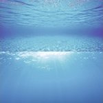 Juwel Tapeta modrá S 60 x 30 cm – Zboží Dáma