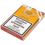PARTAGAS MILLE FLEURS 5 ks – Zboží Dáma