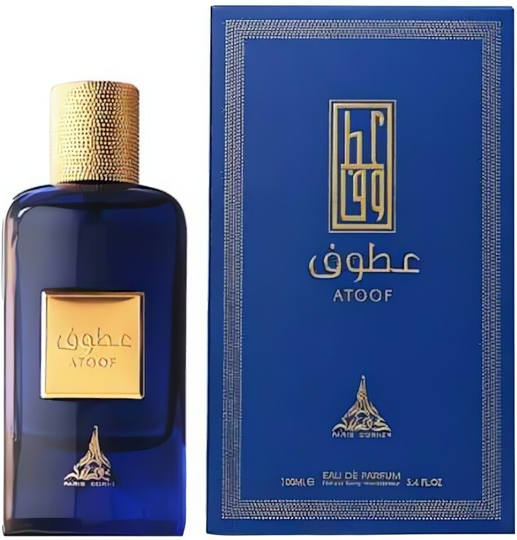 Paris Corner Atoof parfémovaná voda unisex 100 ml