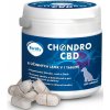 Vitamíny pro psa Fortify Chondro CBD 60 tablet