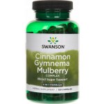 Swanson Cinnamon Gymnema Mulberry Complex komplex moruše skořice gymnema 120 kapslí – Hledejceny.cz