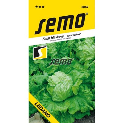 Semo Salát Ledano – Sleviste.cz