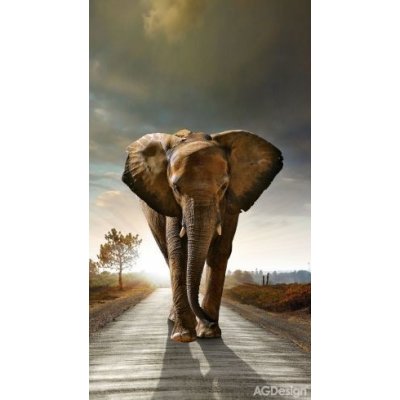 Fotozáclony slon 140x245cm FCS L 7507 – Hledejceny.cz