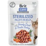 Brit Care Cat Fillets in Gravy Hearty Duck 85 g – Zbozi.Blesk.cz